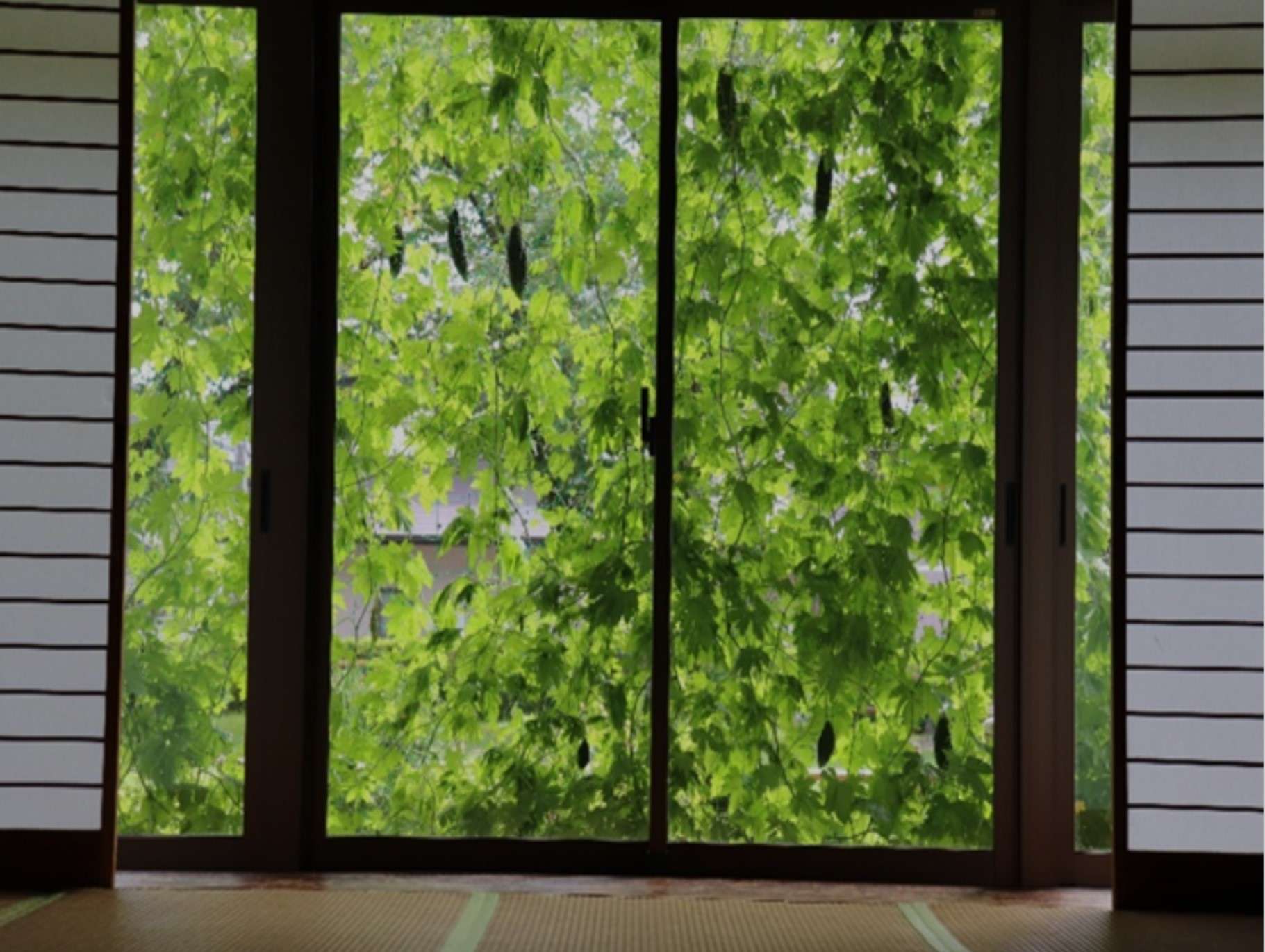 夏を涼しく快適に！庭と建築の融合で理想の住まいづくり