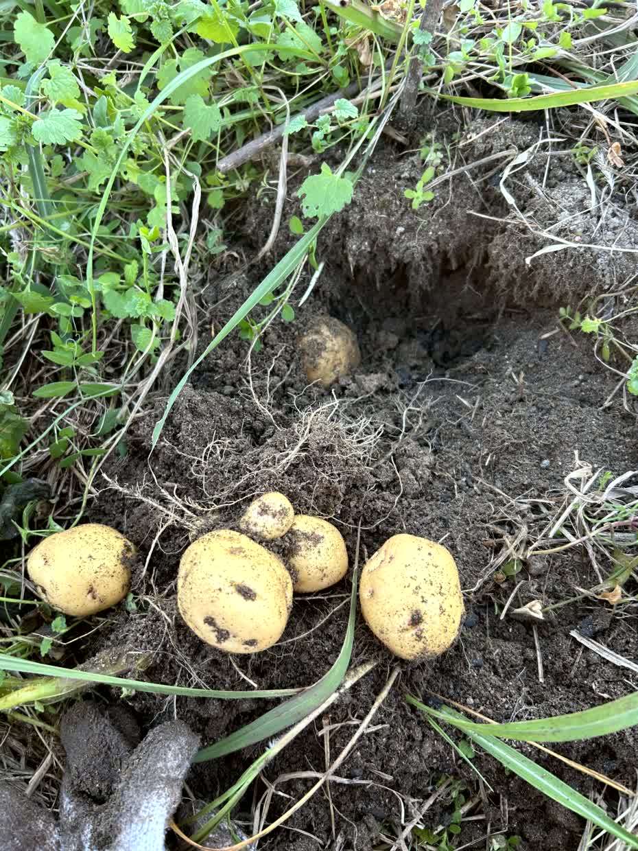 注文住宅寒さ対策｜設備に頼らず“家そのもの”をあたためる家づくり