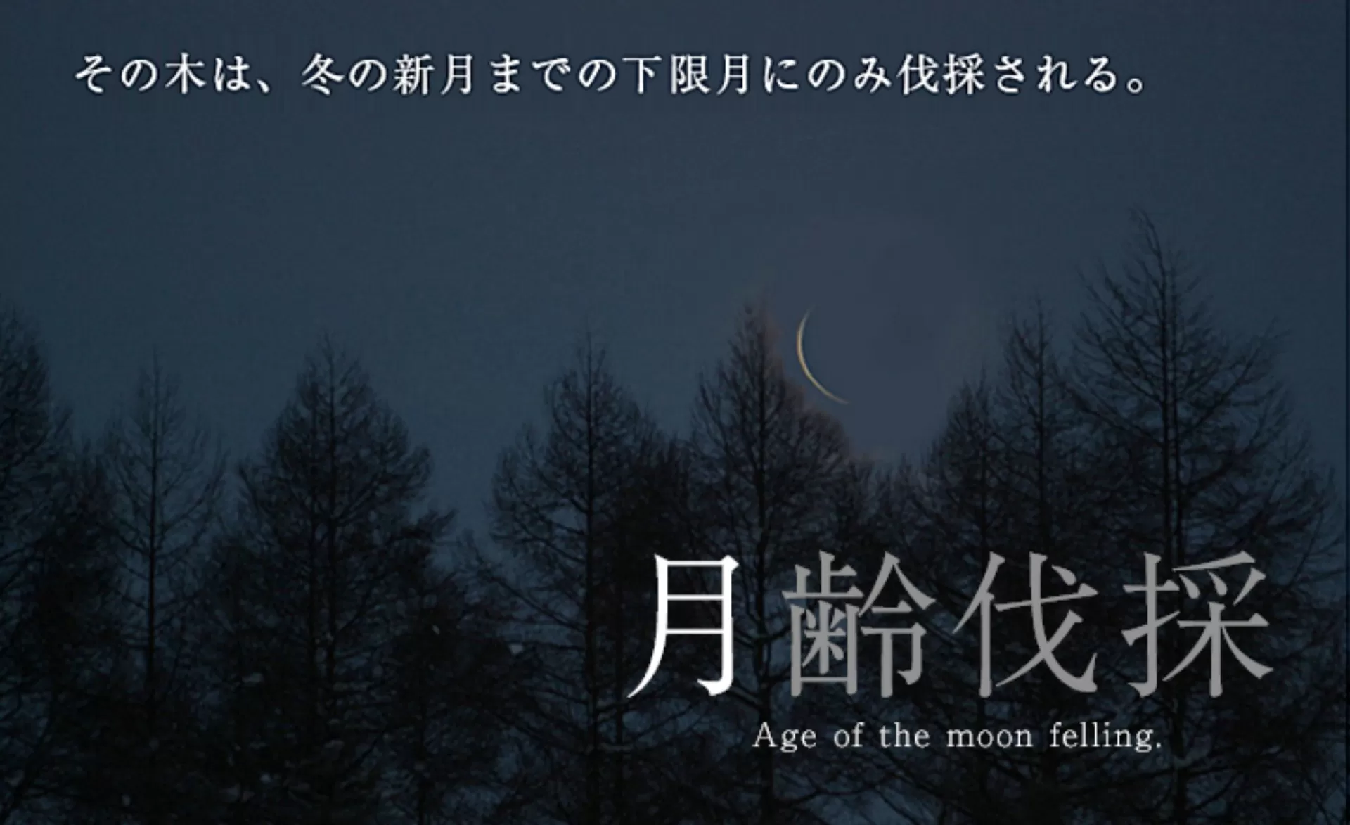 自然の中でのきこりツアーイベントのお知らせ