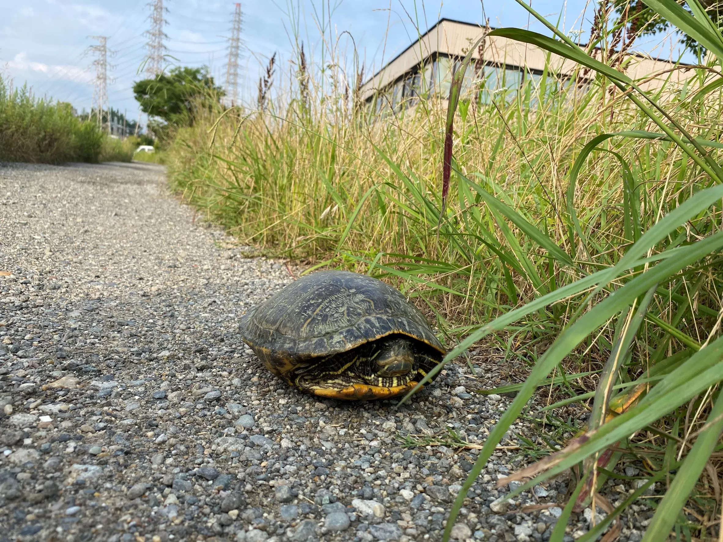 常滑市での注文住宅の解体現場です。