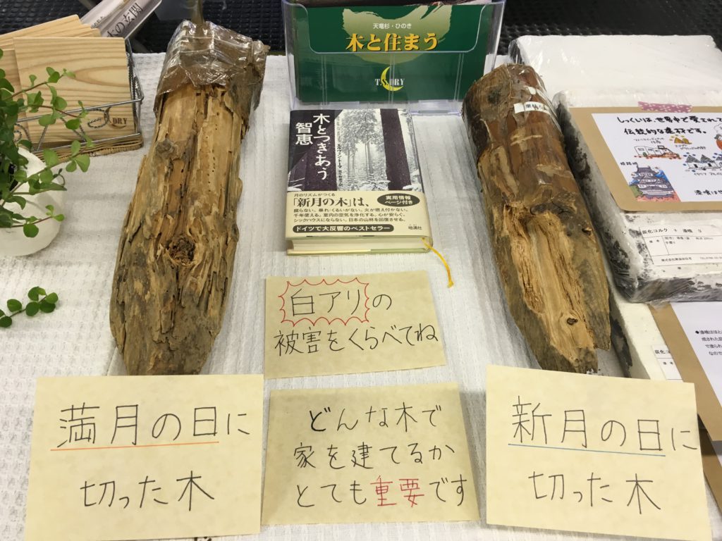 イベントで驚かれる月齢伐採の木について