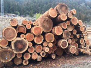 天竜　水窪の町で癒される