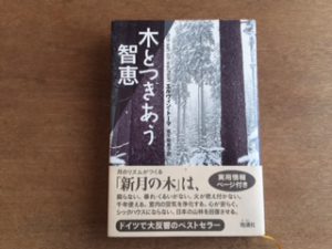 月のリズムと山の木の不思議な関係